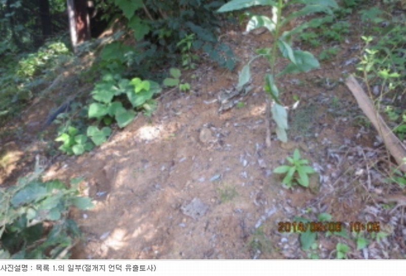 사진 12