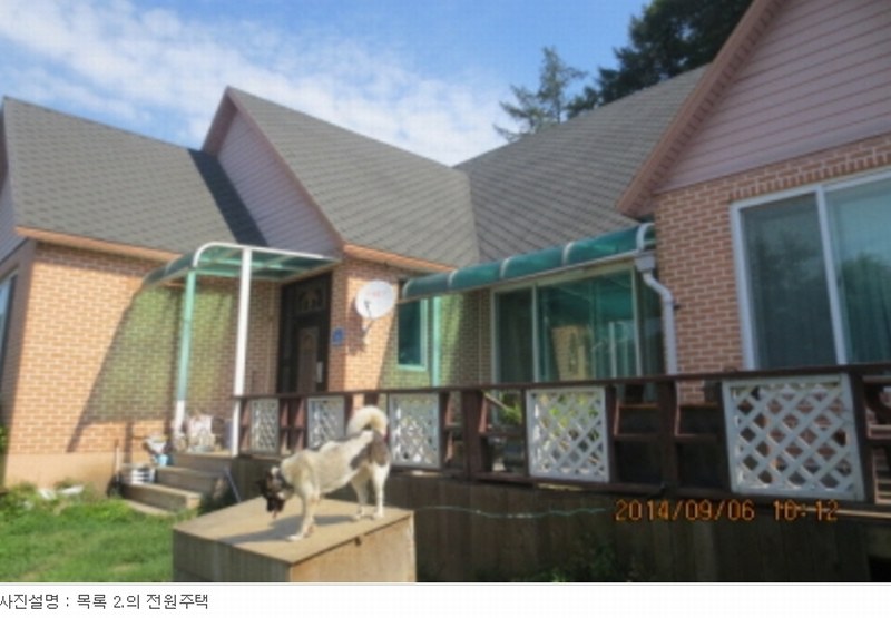 사진 5
