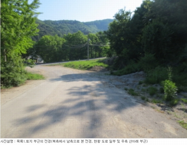 사진 10