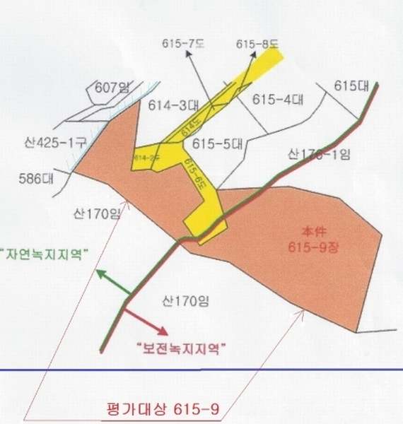 사진 12