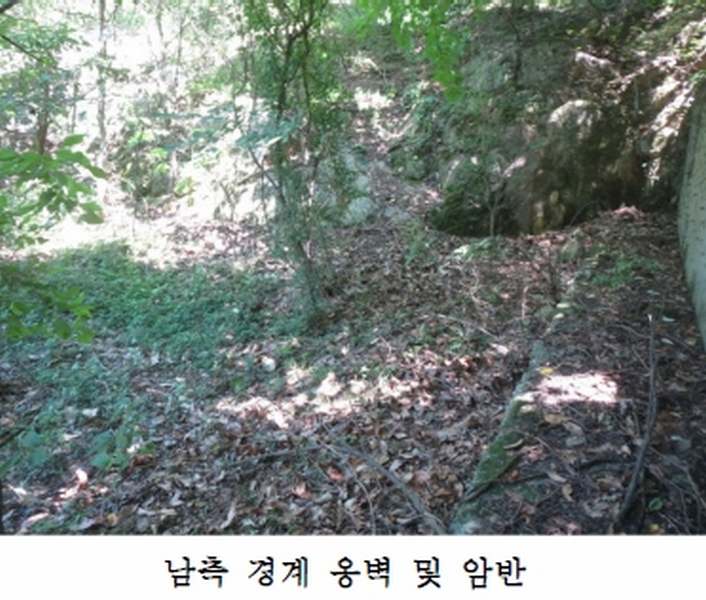 사진 7