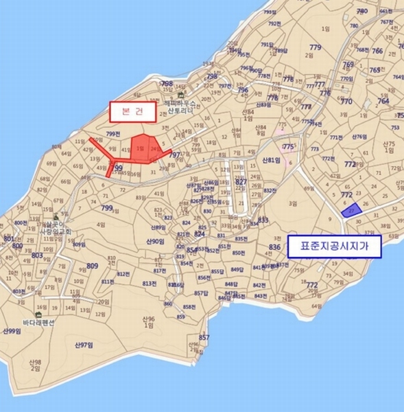 사진 11