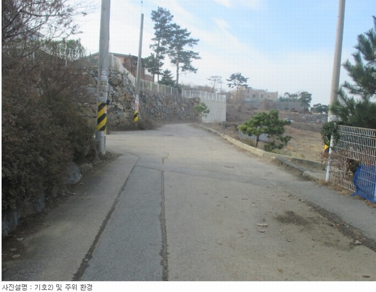 사진 2
