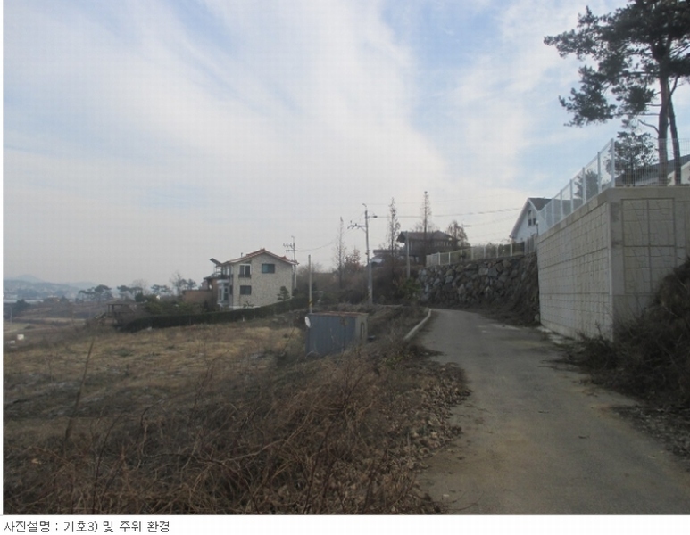 사진 3