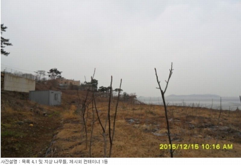 사진 4