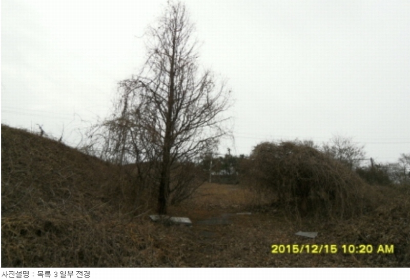 사진 8
