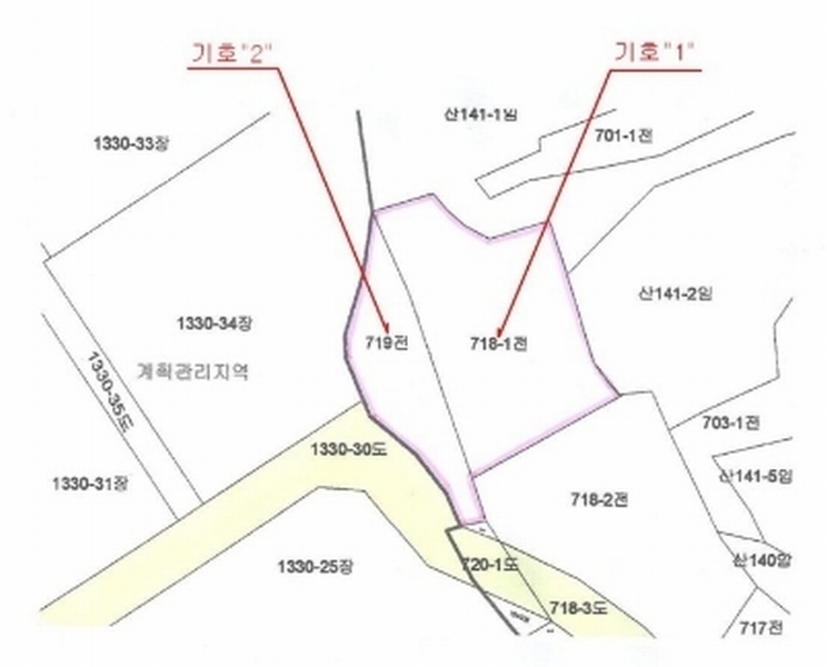 사진 11