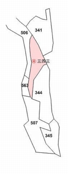 사진 4