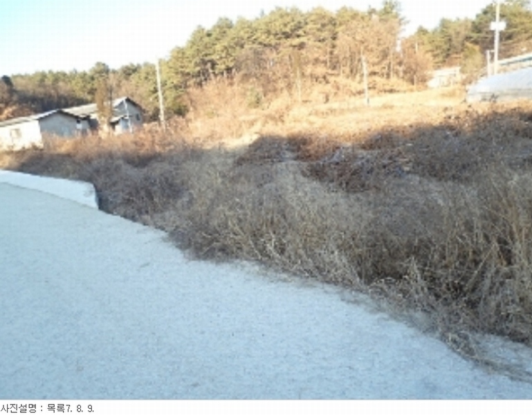 사진 2