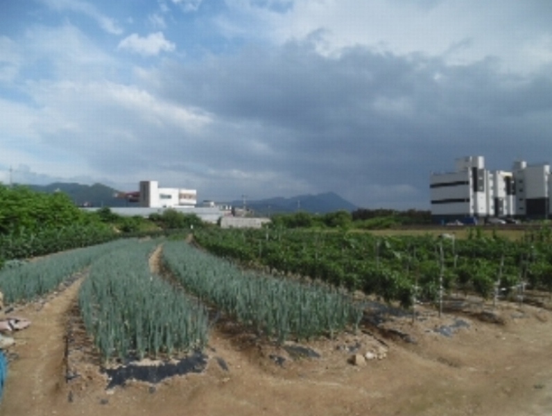 사진 6