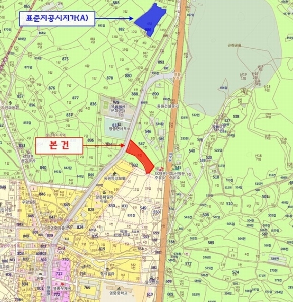 사진 9