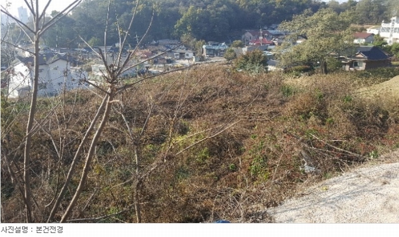 사진 4
