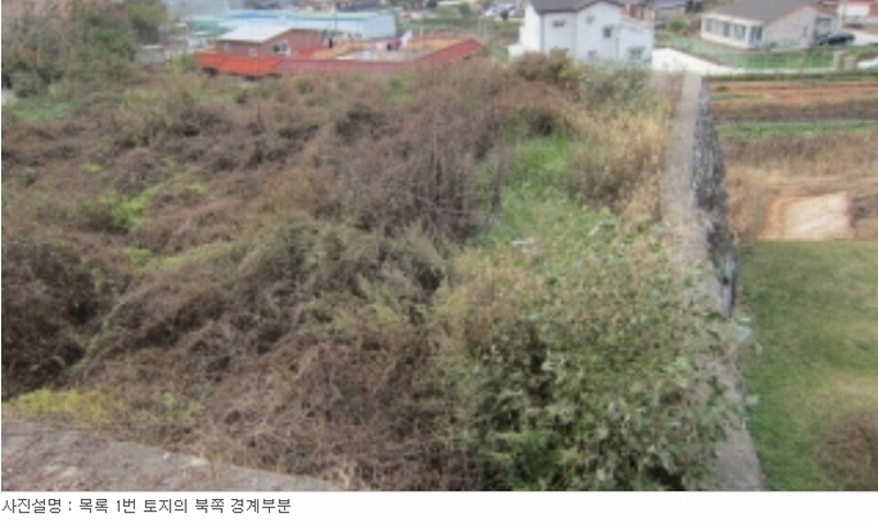 사진 8