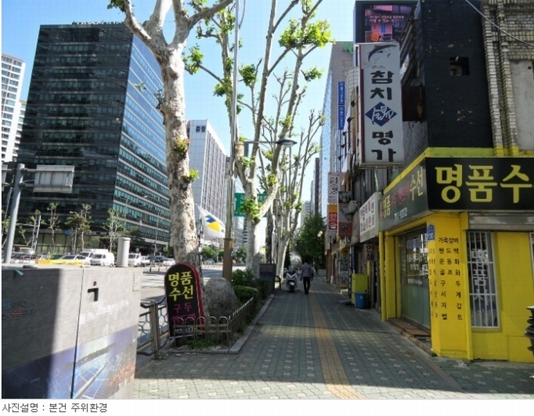 사진 5