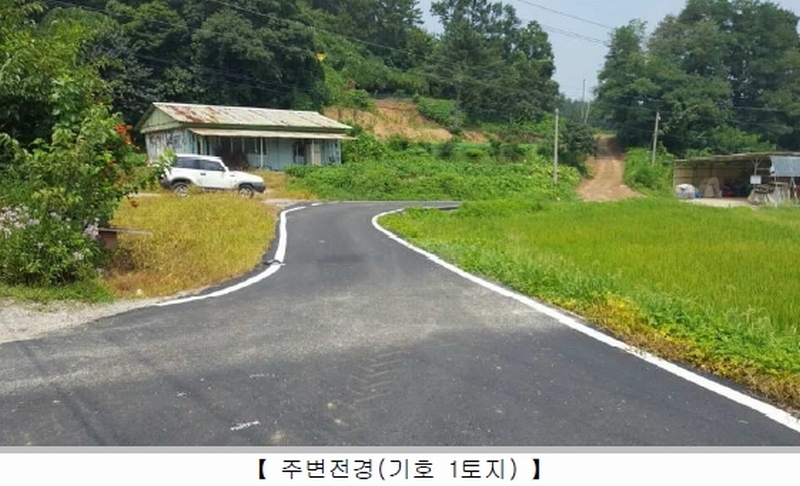 사진 2