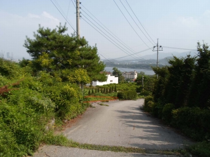 2016타경6953
