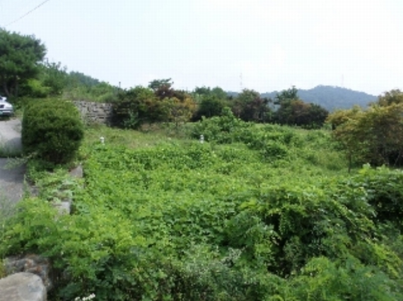 사진 8