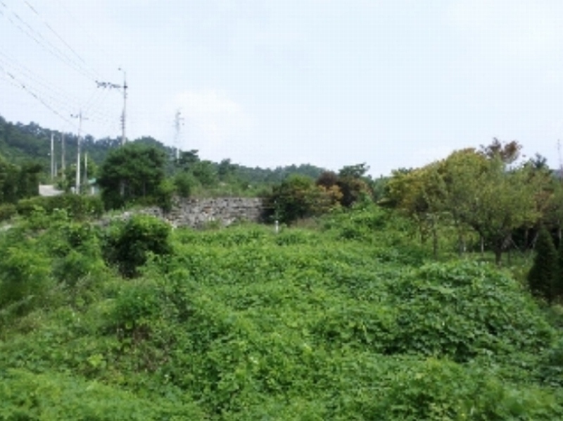 사진 9