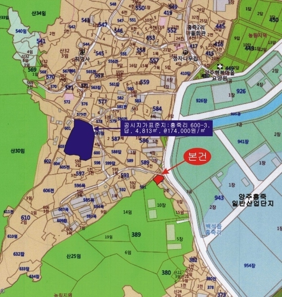 사진 10