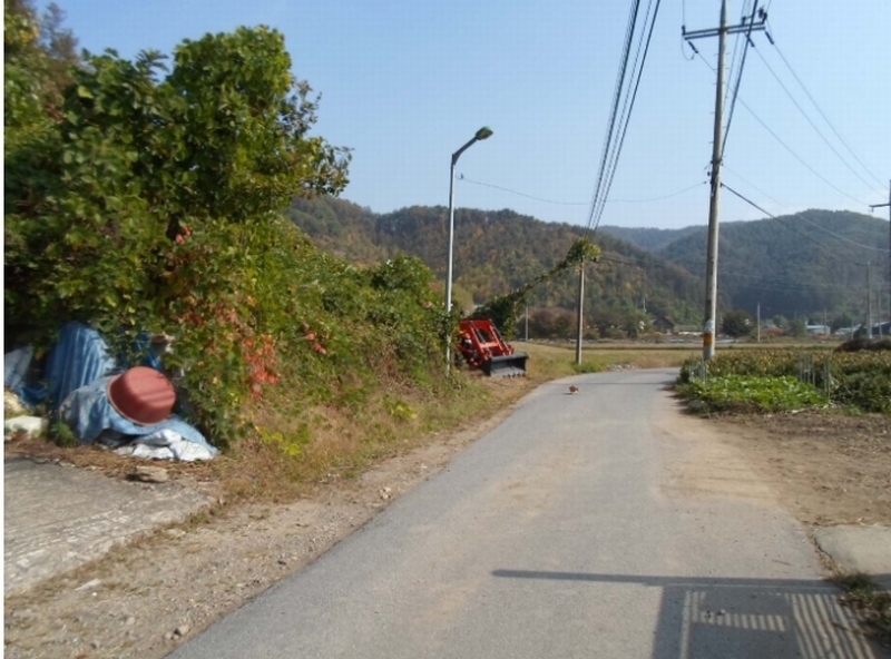 사진 3