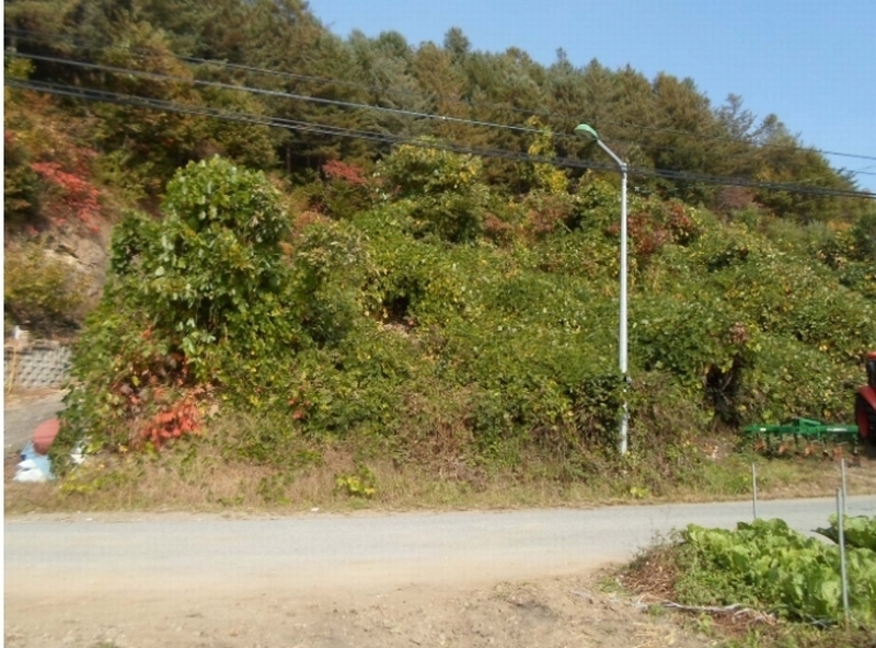 사진 4