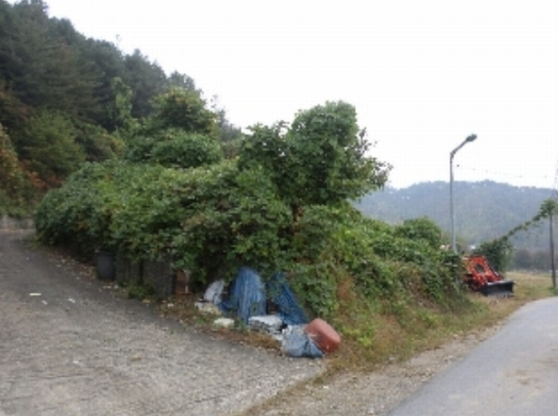 사진 8