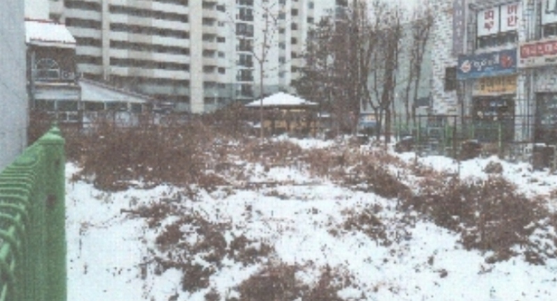 사진 5