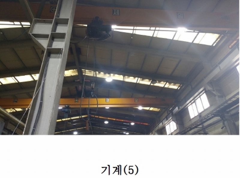 사진 41