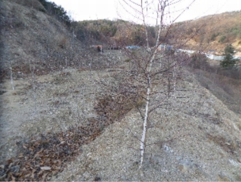 사진 14