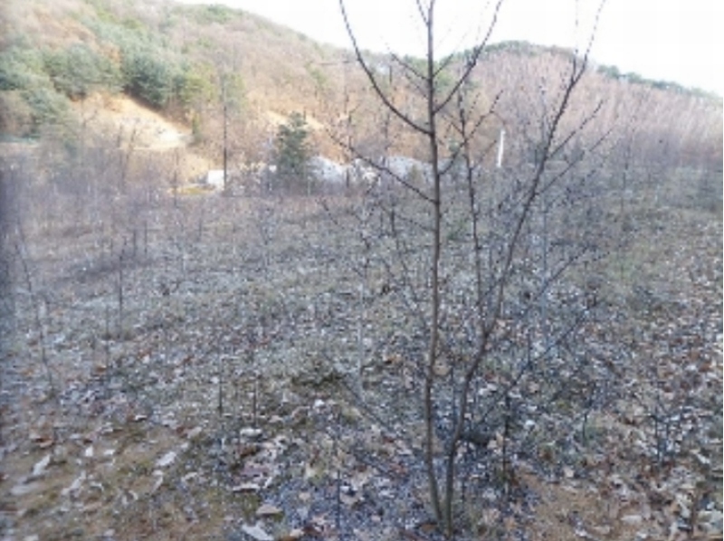 사진 15