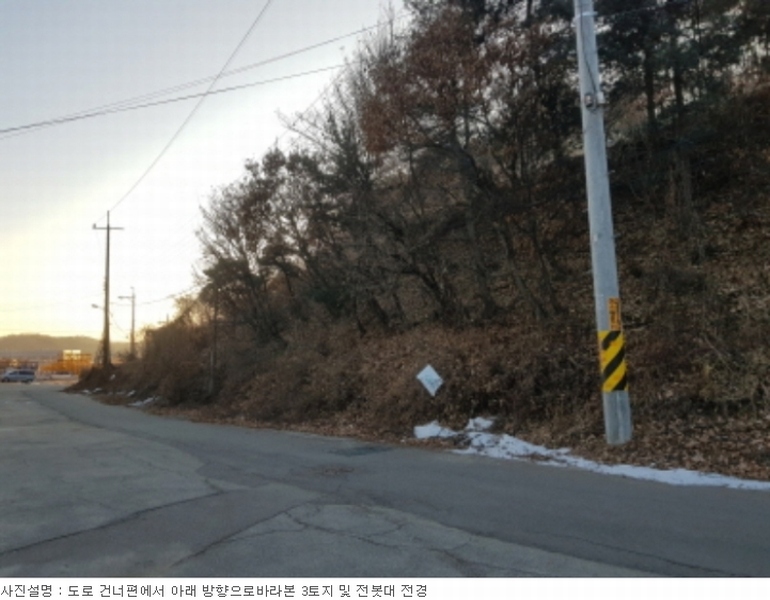 사진 24