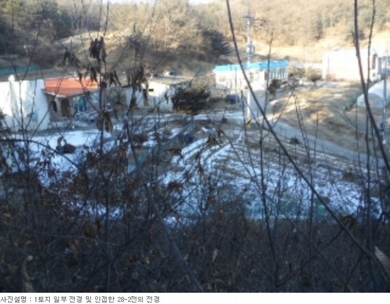 사진 27