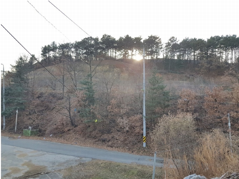사진 6