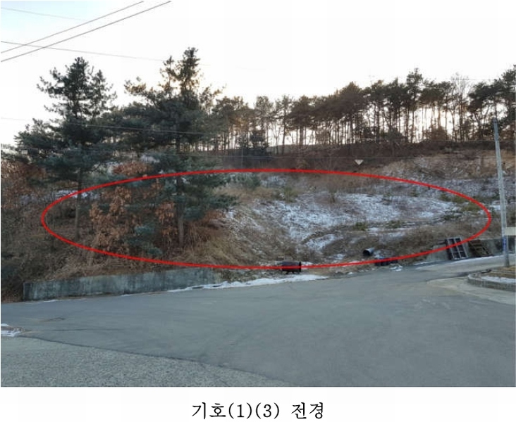 사진 7