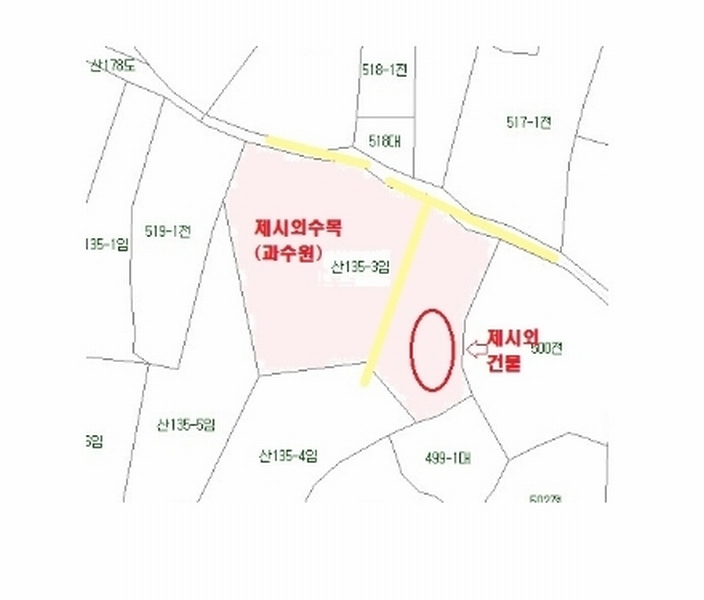 사진 11