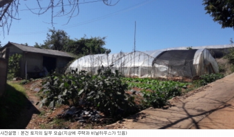 사진 6