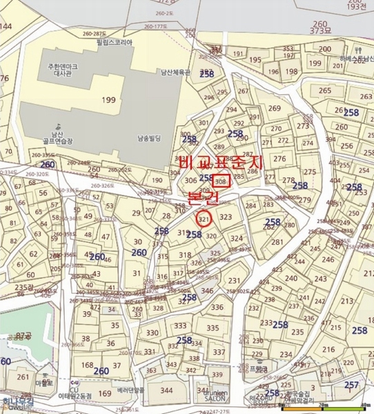 사진 10