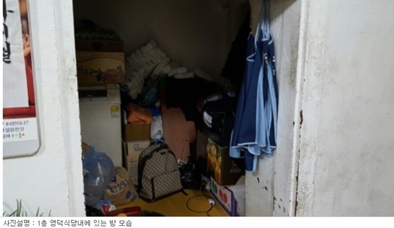 사진 6