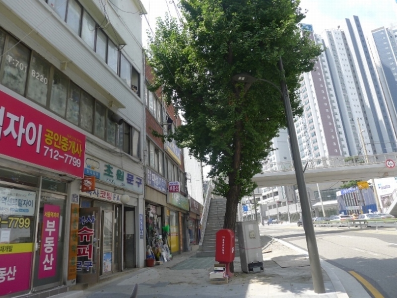 사진 5