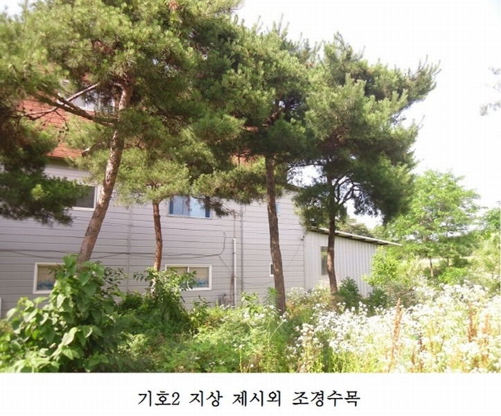 사진 11