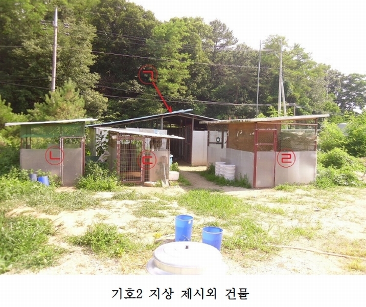 사진 15