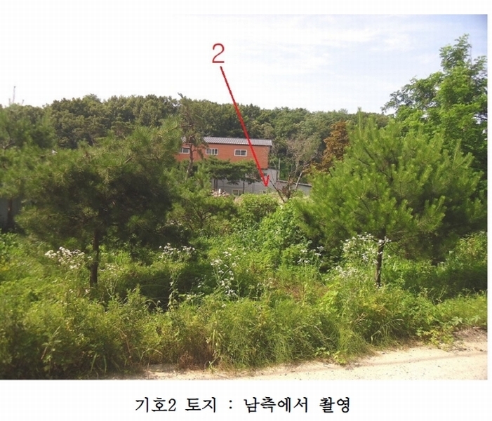 사진 2