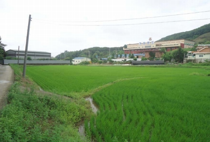 사진 2