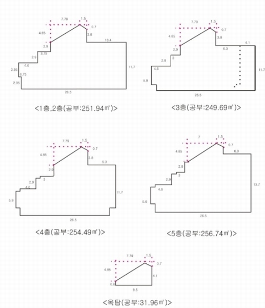 사진 17