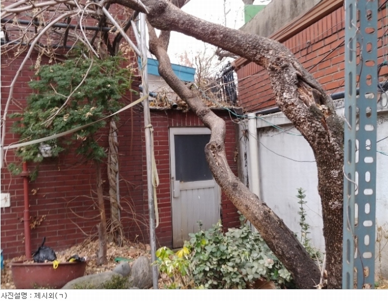 사진 9