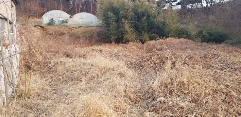 사진 2