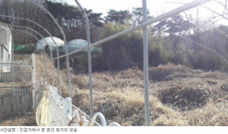 사진 6