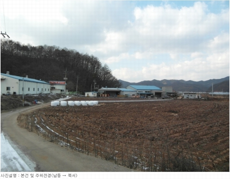 사진 3