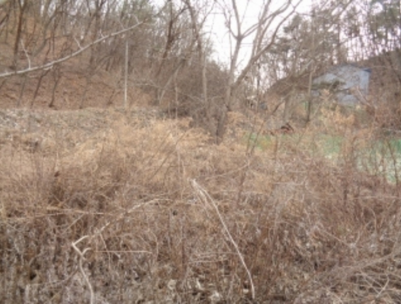 사진 9