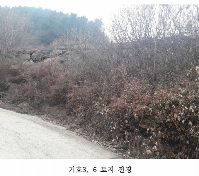 사진 3